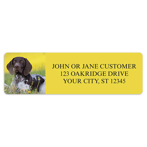 German Shorthair Pointer Address Labels