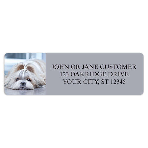 Shih-Tzu Address Labels