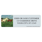 Wild Horses Address Labels