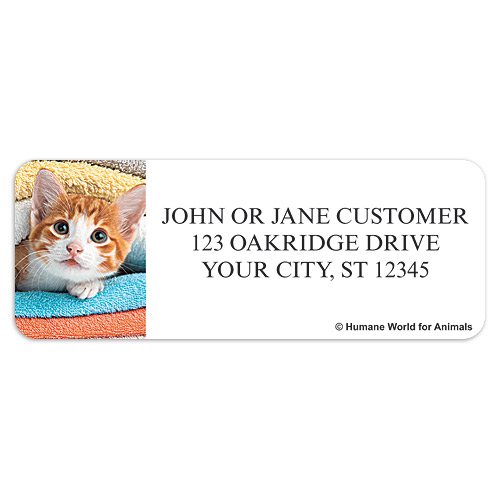 Humane World for Animals Cats Address Labels