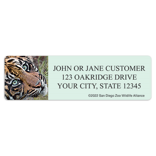 Kat Kraze Address Labels