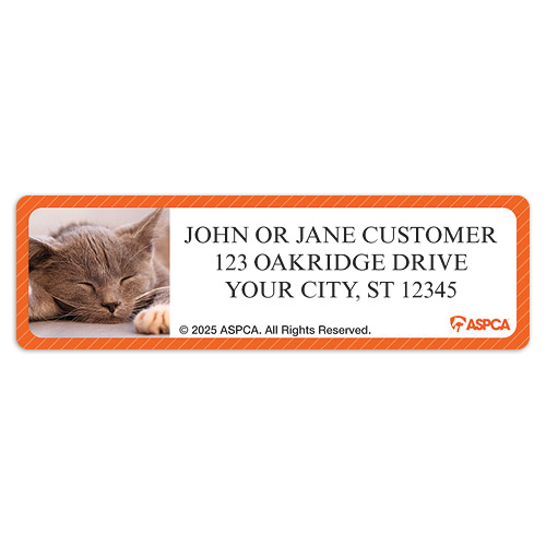 ASPCA � Kittens Address Labels
