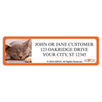 ASPCA  Kittens Address Labels