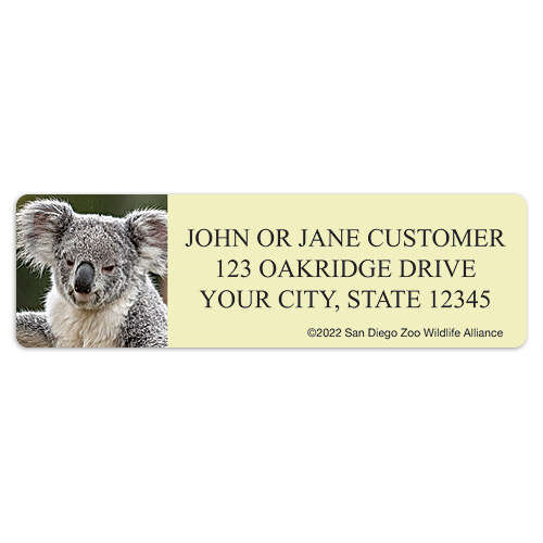 San Diego Zoo Koala Address Labels