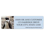 San Diego Zoo Penguin Address Labels