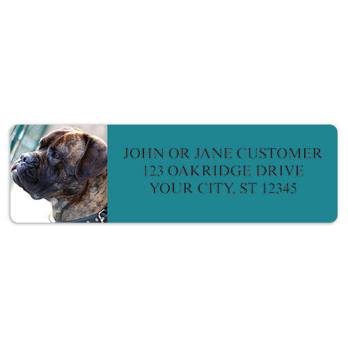 Mastiff Address Labels