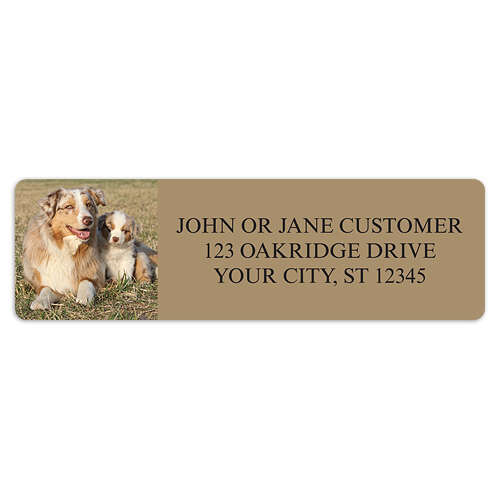 Australian Shepherd Address Labels