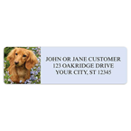 Dachshund Address Labels