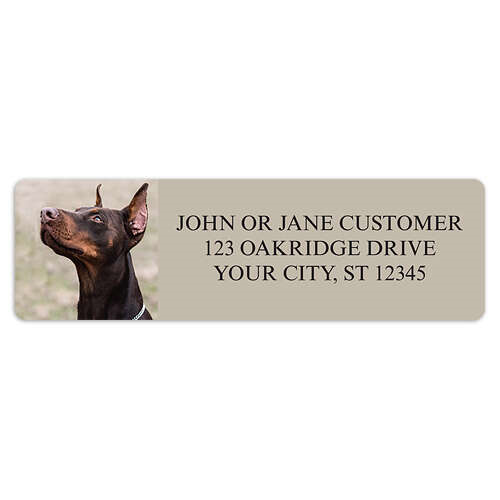 Doberman Pinscher Address Labels