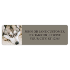 Siberian Husky Address Labels