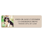 Cavalier King Charles Spaniel Address Labels