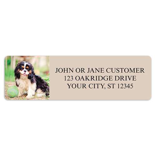 Cavalier King Charles Spaniel Address Labels