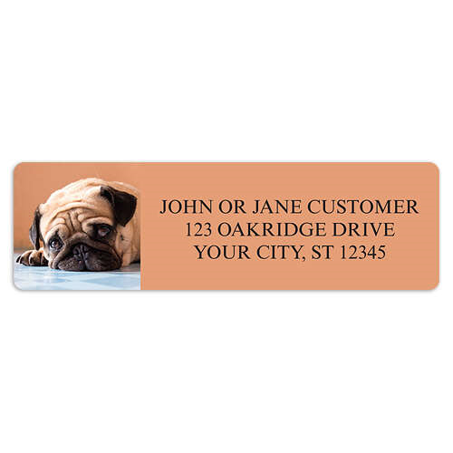 Pug Address Labels