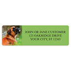 Boxer Address Labels