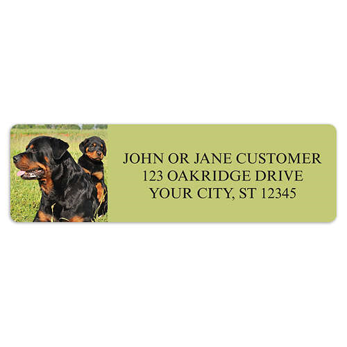 Rottweiler Address Labels